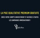 La pige qualitative Premium Gratuite